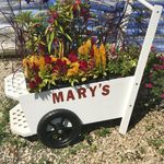 Mary's Greenhouse - @marysgreenhousegurnee - Instagram