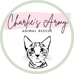 Marie Gutshall - @charlies__army - Instagram