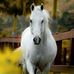 Mary Guy - Facebook
