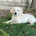 Mary Jo Adrian-Hackbarth - Facebook
