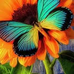 mary hackney - @hackney4013 - Instagram