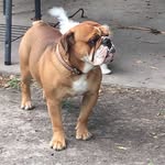 Mary Hayes Hackney - @ke5wdj - Instagram