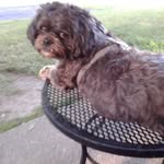 Mary Lou Hadfield - @hadfieldmarylou - Instagram