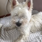 Mary Halbert - @mary.halbert.54 - Instagram
