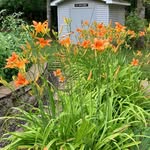 Mary Halbert Cravens - @mary_cravens - Instagram