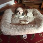 Mary Halcomb - @halcomb1024 - Instagram