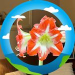 Mary Halcomb - @maryreedhalcomb - Instagram