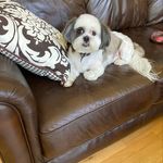 Mary Halcomb - @four10lou - Instagram