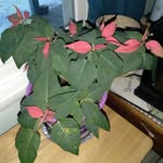 Mary H. Ames - @maryh.ames - Instagram