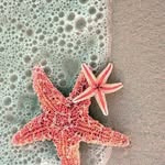 Mary Hames - @bella_boutiquemary - Instagram