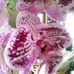 Mary Hanchett - Facebook