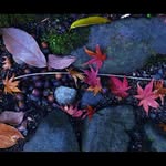 mary hanerdes - @maryhanerdes - Instagram