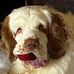 Mary Hanney - Facebook