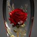 Mary Hard - Facebook