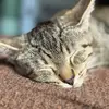 Mary Hardesty - @maryhardesty - TikTok