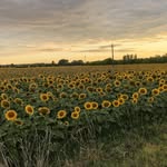 Mary Hardesty - @loreehantina - Instagram