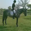 maryhardesty1 - @maryhardesty1 - TikTok