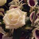 Mary-Claire Hardie - @maryclairehardie - Instagram