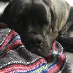 Mary Hardie Meade - @marymeade944 - Instagram