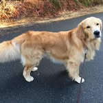 Mary Harkness - @mary.harkness - Instagram