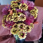 Mary Hartranft - Facebook