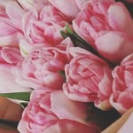 @maryhatter__ - Instagram
