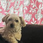 Mary-Anne Murphy Haver - @mahaver - Instagram