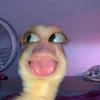 Mary heavner - @maryheav - TikTok