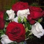 maryheavner058@gmail.com - @maryheavner058gmail - Instagram