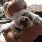 Mary Heerkens - @maryheerkens - Instagram