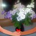 Mary Hegel - Facebook