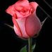 Mary Huaman - Facebook