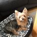 Maria Heisig - Facebook