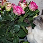 Mary Helbert Crouse - @mary_crouse - Instagram