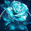 319007 - @maryhelm0 - TikTok