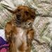 Mary Helm - Facebook