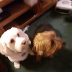 Mary Helm - Facebook