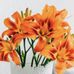 Mary Helmick - Facebook