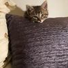 Mary Helmuth - @user361669261 - TikTok