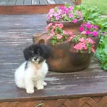 Mary Helzer - @maryhelzer3835 - Instagram