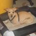 Mary Hepner - Facebook