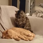 Mary Heppell - @mary.heppell - Instagram