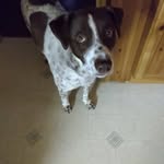 Mary Hepperle - @mary_hepp - Instagram
