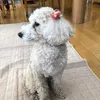 mary Herb - @mary.herb - TikTok