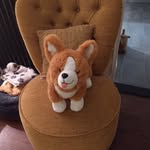 Mary Highfield - @mhighfield123 - Instagram