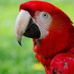 Mary Hiñes - @mary.hines.52831 - Instagram