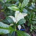 Mary Hines - Facebook
