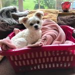 Mary Hoare - @maryhoare1 - Instagram