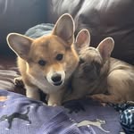 Mary Hoare - @maryhoare5 - Instagram
