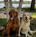 MaryJo Hoefer - Facebook